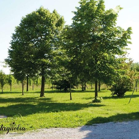 Villa Ca'Magnolia Treviso Esterno foto